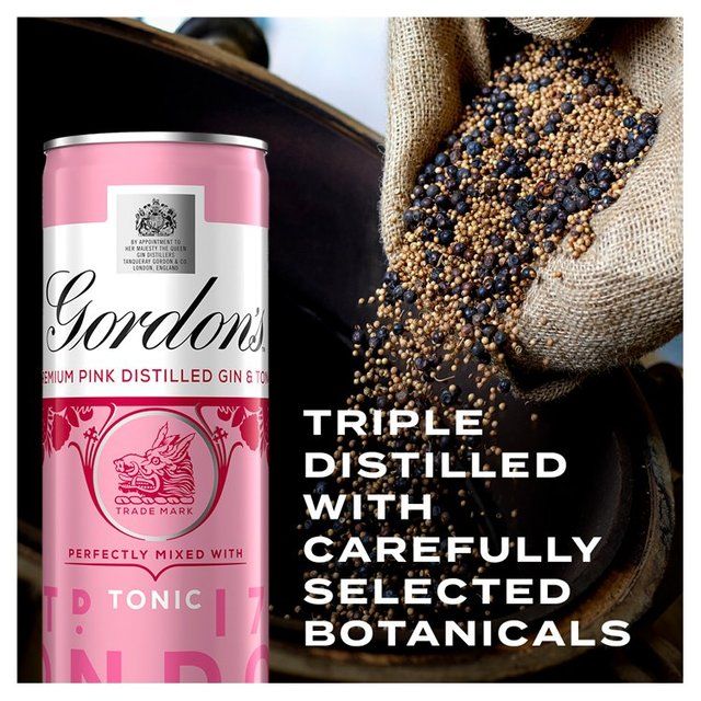 Gordon's Pink Gin & Tonic 250ml