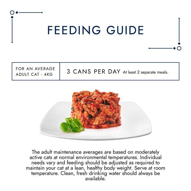 Gourmet Solitaire Beef Wet Cat Food 85g