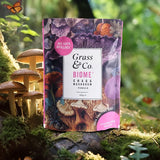 Grass & Co. BIOME Chaga Mushrooms Powder with Turmeric + Ginger 100g