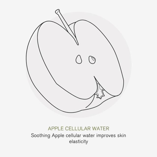 Green People Apple Complex Moisturiser Nordic Roots 50ml