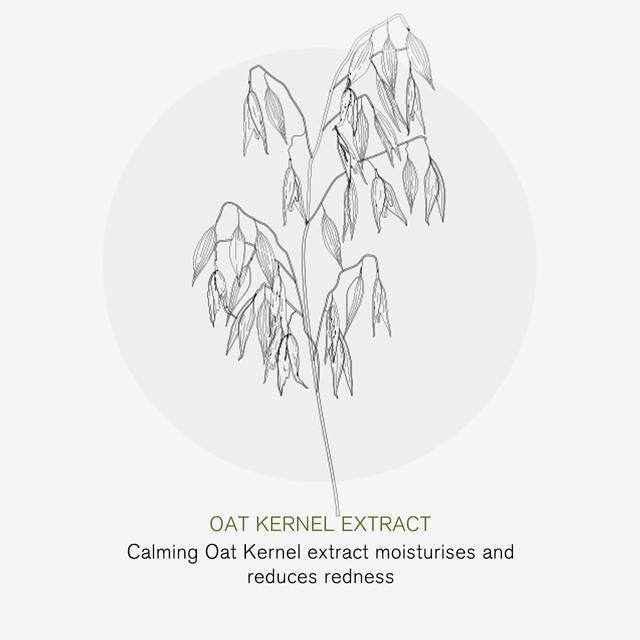 Green People Apple Complex Moisturiser Nordic Roots 50ml