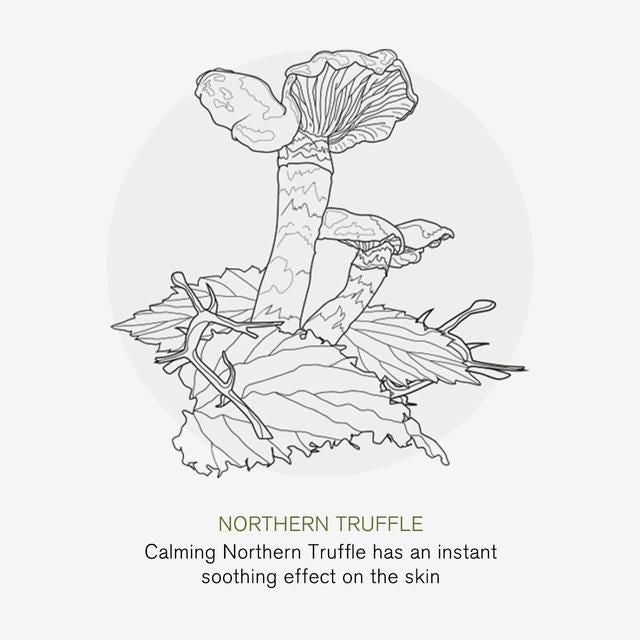 Green People Nordic Truffle Night Cream 50ml