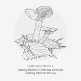 Green People Nordic Truffle Night Cream 50ml