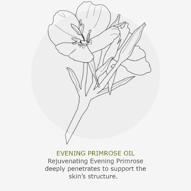 Green People Organic 24 Hour Moisturiser Vitamin Fix 50ml