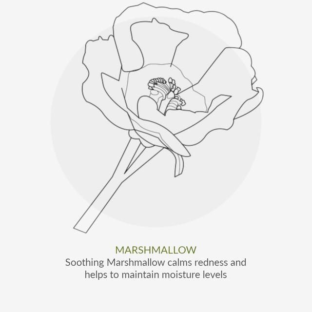 Green People Organic Conditioner Moisturising Vegan 200ml