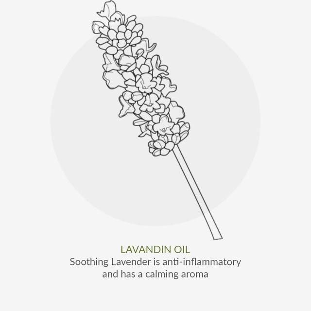 Green People Organic Daily Aloe Vera Shower Gel Vegan 200ml