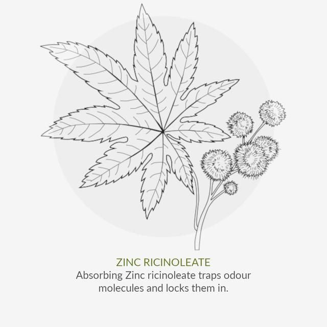 Green People Organic Men's Roll On Deodorant Thyme & Prebiotics Vegan 75ml