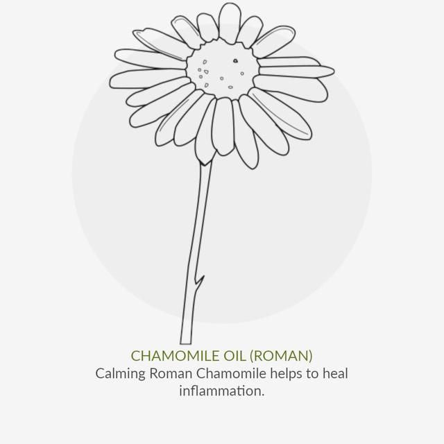 Green People Organic Roll On Deodorant Aloe Vera Vegan 75ml