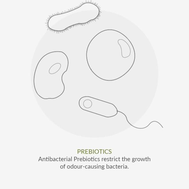 Green People Organic Roll On Deodorant Aloe Vera Vegan 75ml