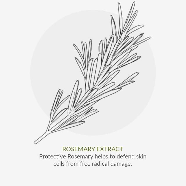 Green People Organic Roll On Deodorant Rosemary Vegan 75ml