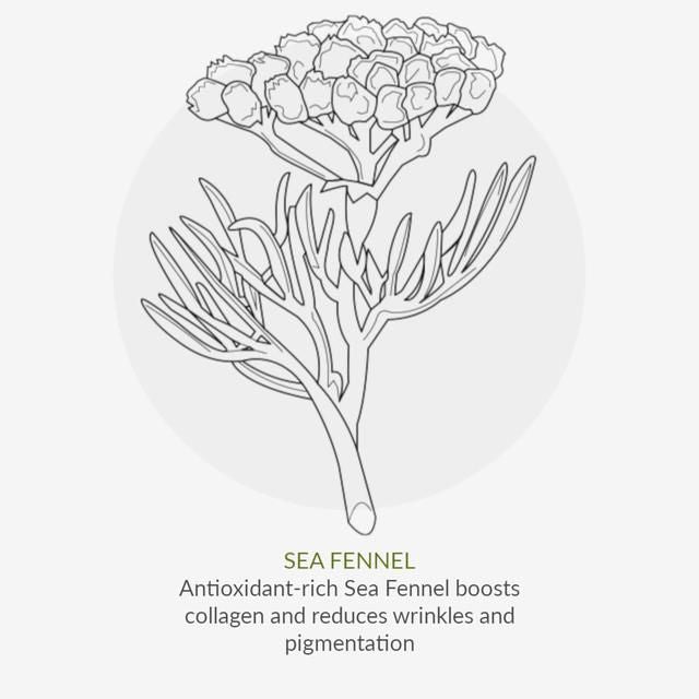 Green People Organic Tinted DD Moisturiser SPF15 Light Vegan By Cha Vohtz 30ml