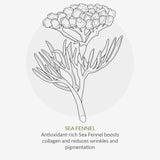 Green People Organic Tinted DD Moisturiser SPF15 Light Vegan By Cha Vohtz 30ml