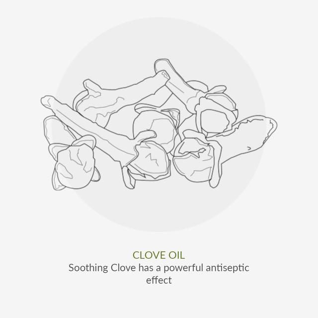 Green People Organic Toothpaste Fennel & Propolis 50ml