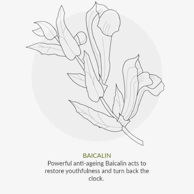 Green People Scent Free 24-Hour Cream 50ml