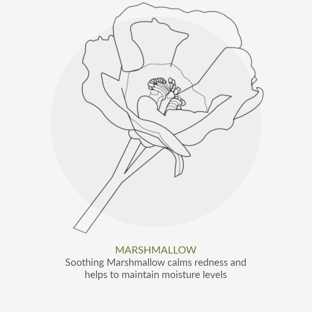 Green People SPF 30 Sun Cream Scent Free Travel Size 100ml