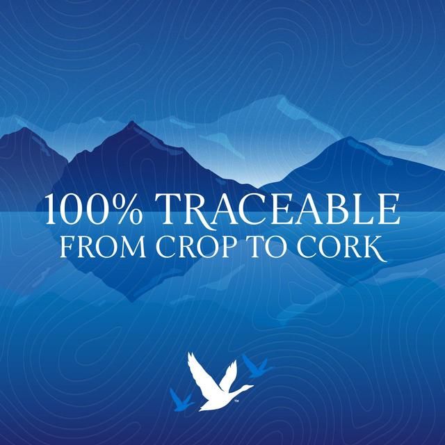 Grey Goose Premium French Vodka 35cl