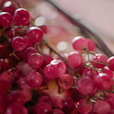 Gucci Guilty Eau de Parfum For Her 50ml