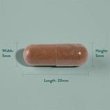 H&B Expert Menopause Day 60 Capsules