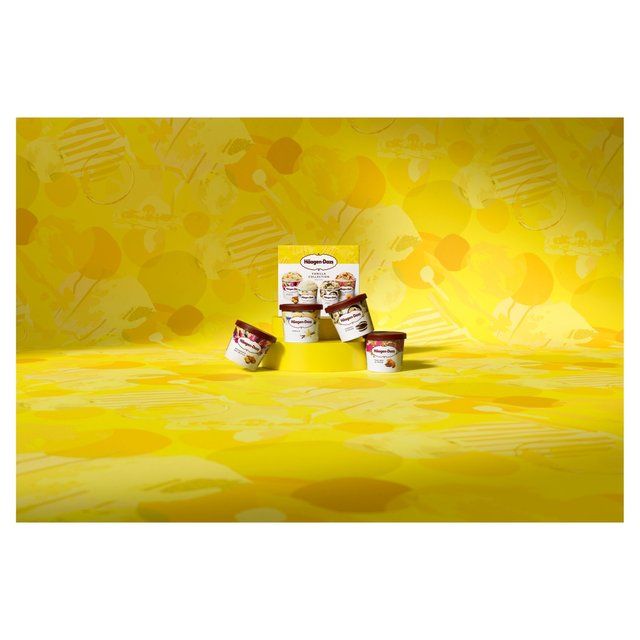 Haagen-Dazs Vanilla Collection Mini Cups Ice Cream 4 x 95ml