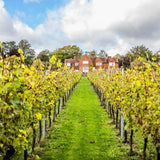 Hambledon Classic Cuvee Brut NV 75cl