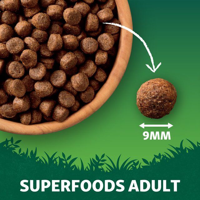 Harringtons Adult Grain Free with Superfoods Dry Dog Food Turkey 1.7kg
