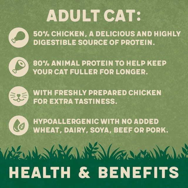 Harringtons Complete Adult Chicken Cat Food 2kg