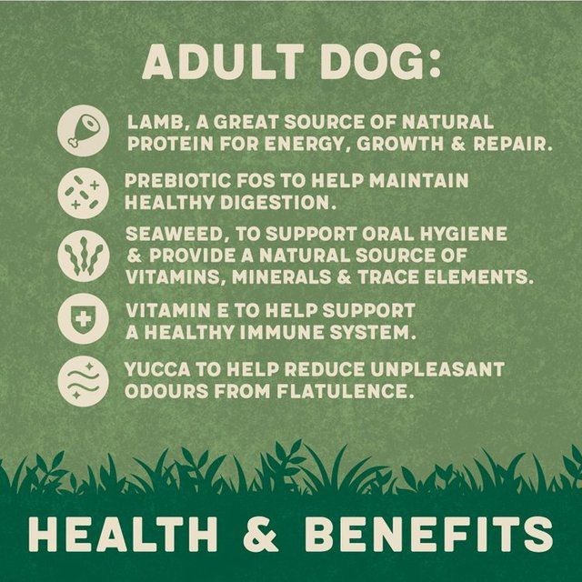 Harringtons Dog Lamb 4kg