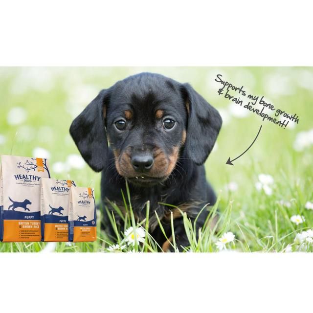 Healthy Paws British Turkey & Brown Rice Puppy Dog Food 2kg