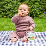 Heinz Apple Biscotti Baby Food Snacks 7+ Months 60g