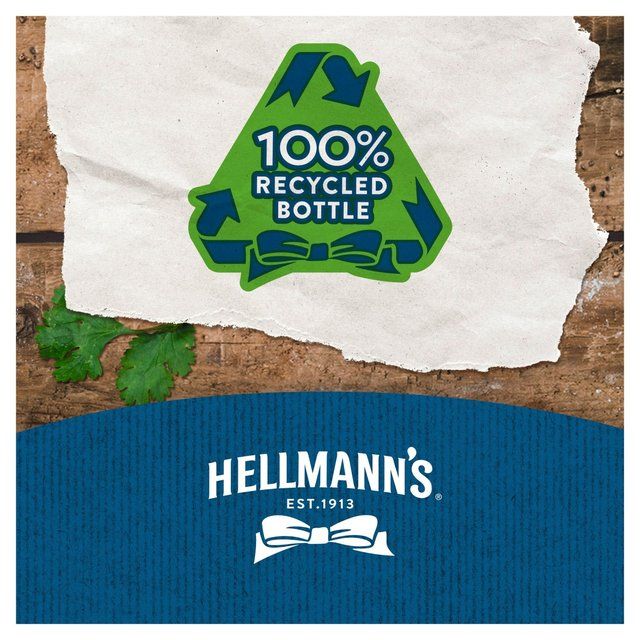 Hellmann's Garlic Squeezy Mayonnaise 250ml