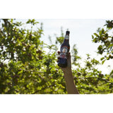 Henry Westons British Vintage Cider 500ml