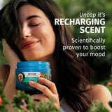 Herbal Essences Argan Oil Conditioner 250ml