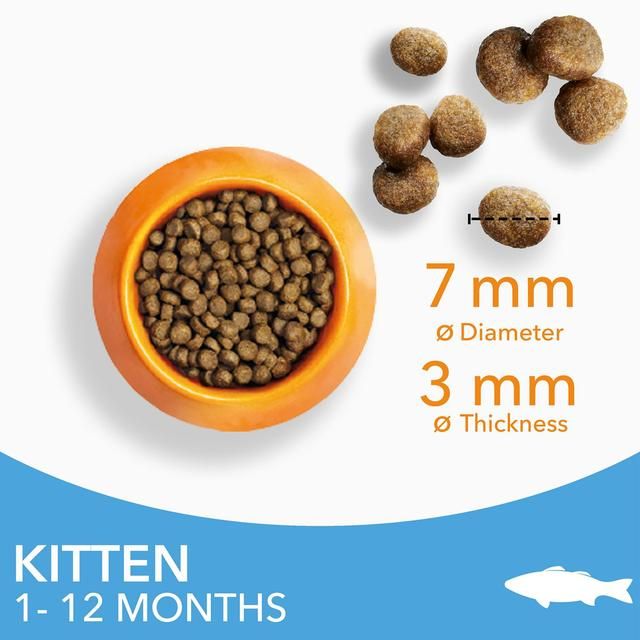 IAMS 1-12 Months Kitten Dry Cat Food Ocean Fish 3kg