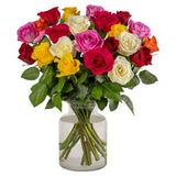 Sainsbury's Rainbow Roses Fresh Cut Flowers