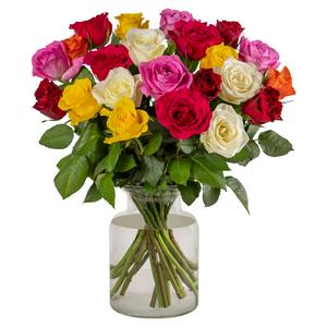 Sainsbury's rainbow roses fresh cut flowers (British brand)