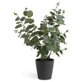 Habitat Artificial Large Eucalyptus Plant Matte Black Pot Faux Indoor Plant 48cm
