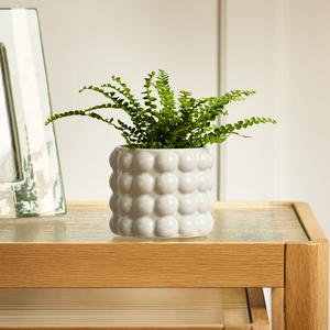 Habitat stoneware bobble planter small indoor 10.5cm, UK version