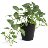Habitat Artificial Topiary Plant Natural Medium, UK version