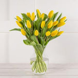 Tulip Abundance Flower Seeds