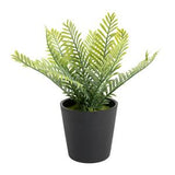Habitat Artificial Green Fern Plant Black Pot 18cm