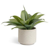 Habitat artificial aloe in reactive glazed pot 30.5cm, UK version