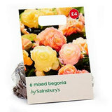 Sainsbury's Begonia Double Bulbs Ornamental Plant Tubers 4/5 cm