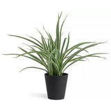 Sainsbury's Home Faux Spider Plant Green Artificial Plant 38.1cm