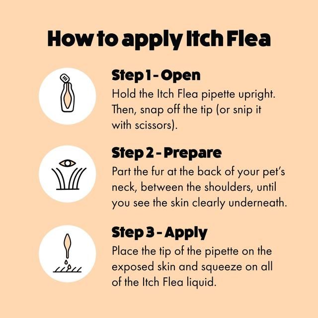 Itch Flea Cat Spot-On Flea & Tick treatment (1kg+)