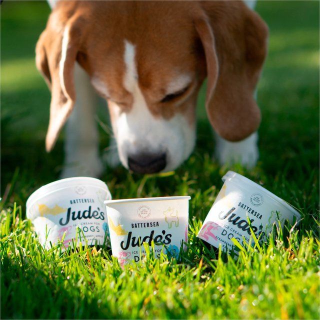 Jude's Ice Cream for Dogs 90ml