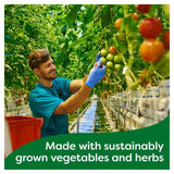 Knorr 20 Chicken Stock Cubes 20 x 10g