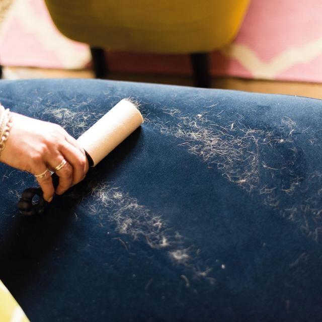 Korbond Pet Hair Roller Refill Twin Pack - 132 sheets 132 per pack