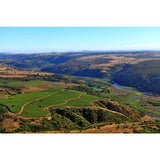 Leyda Sauvignon Blanc Reserva 75cl