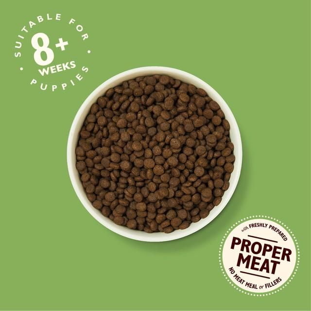 Lily's Kitchen Dog Chicken & Salmon Puppy Recipe Dry Food 1kg