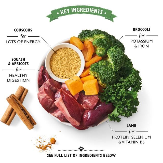 Lily's Kitchen Lamb Tagine Tray for Dogs 150g